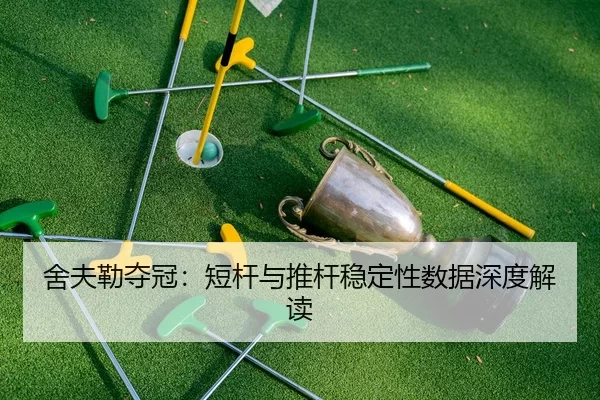 she-fu-lei-duo-guan-duan-gan-yu-tui-gan-wen-ding-xing-shu-ju-shen-du-jie-du-2-233.jpg