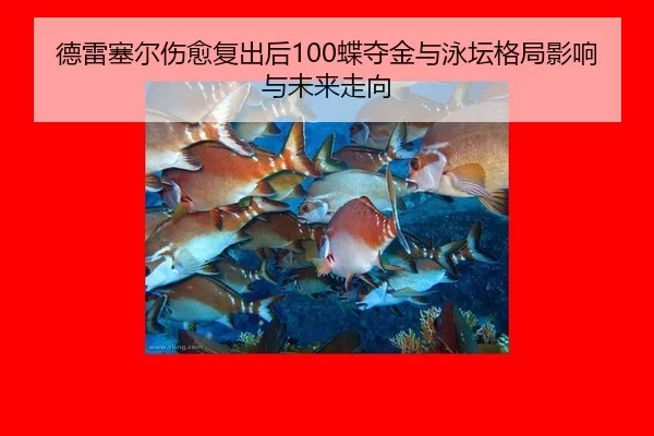 德雷塞尔伤愈复出后100蝶夺金与泳坛格局影响与未来走向