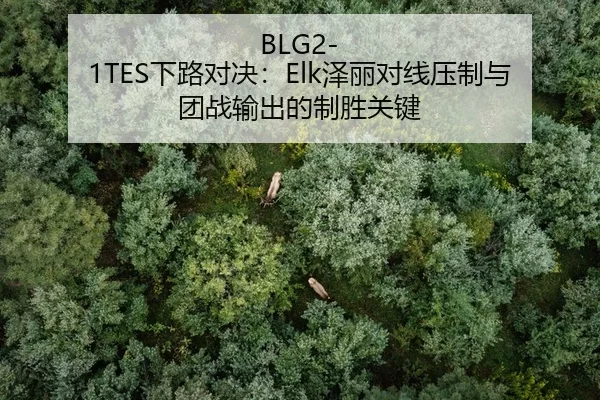 BLG2-1TES下路对决：Elk泽丽对线压制与团战输出的制胜关键